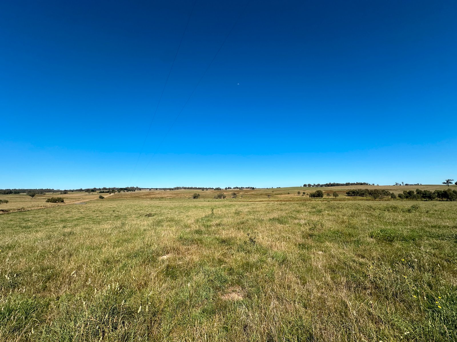 6 Wolseley Park Road TUMBARUMBA 14