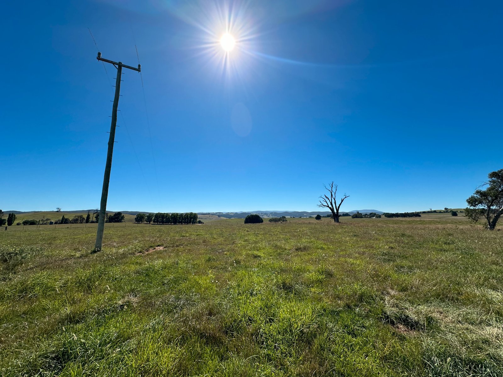 6 Wolseley Park Road TUMBARUMBA 17
