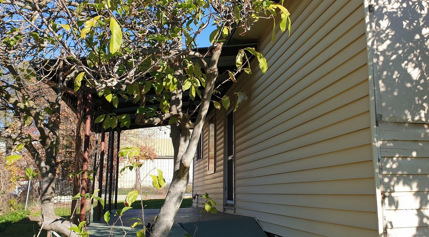 60 Adelong Road TUMUT 3