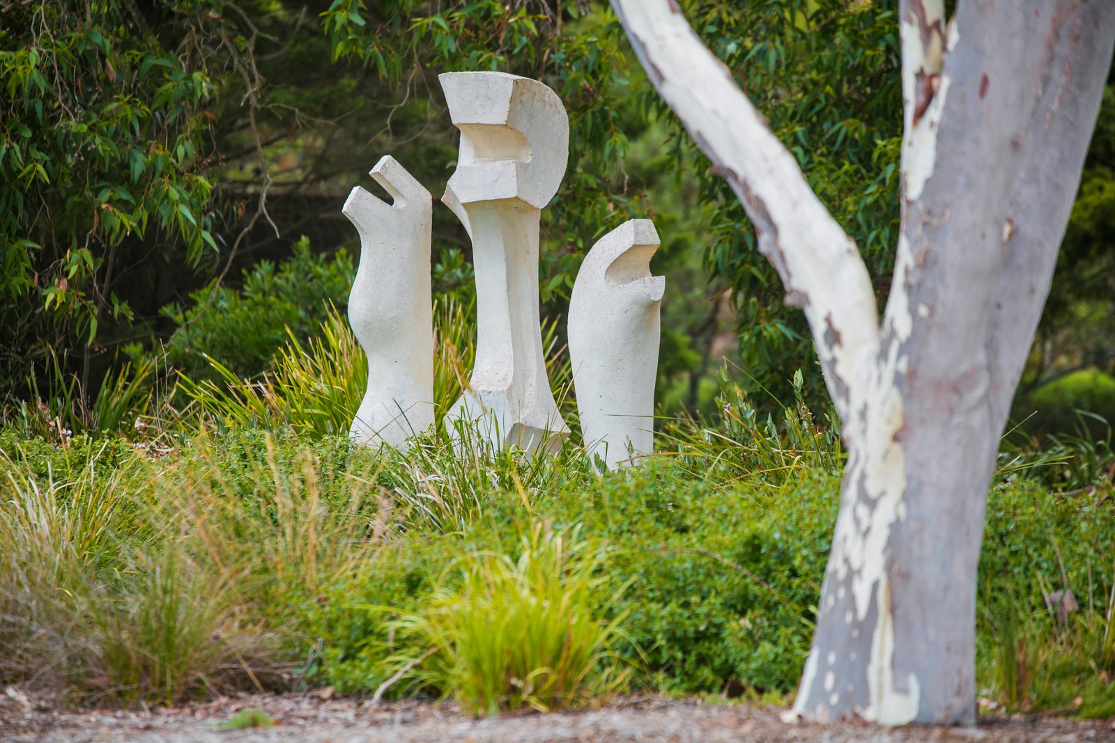 Real Estate and Property in 60 Avila Road, Curlewis, VIC