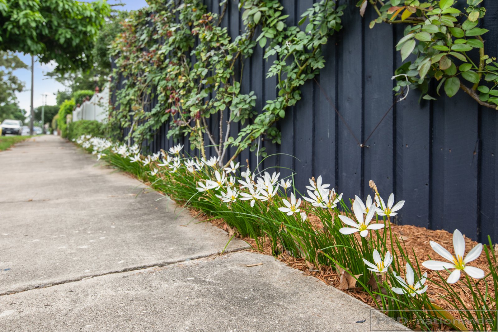 60 Belmore Road LORN 24