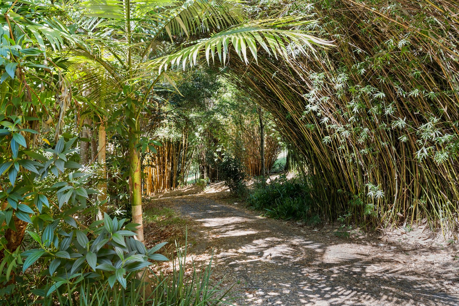 60 Bluegum Court CRABBES CREEK 27