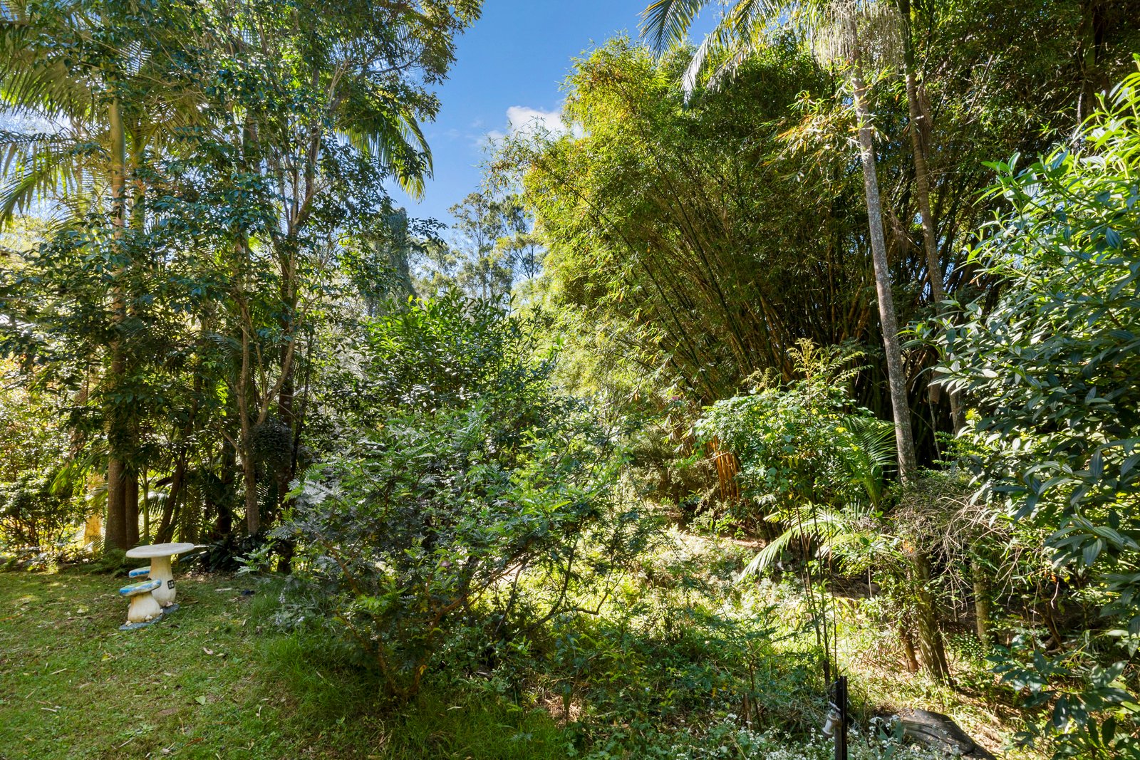 60 Bluegum Court CRABBES CREEK 28