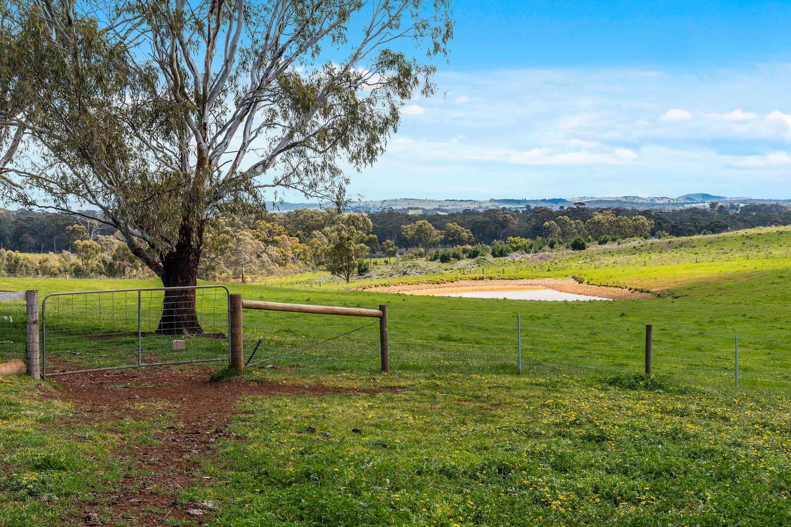 Real Estate and Property in 60 Cameroos Lane, Broadford, VIC