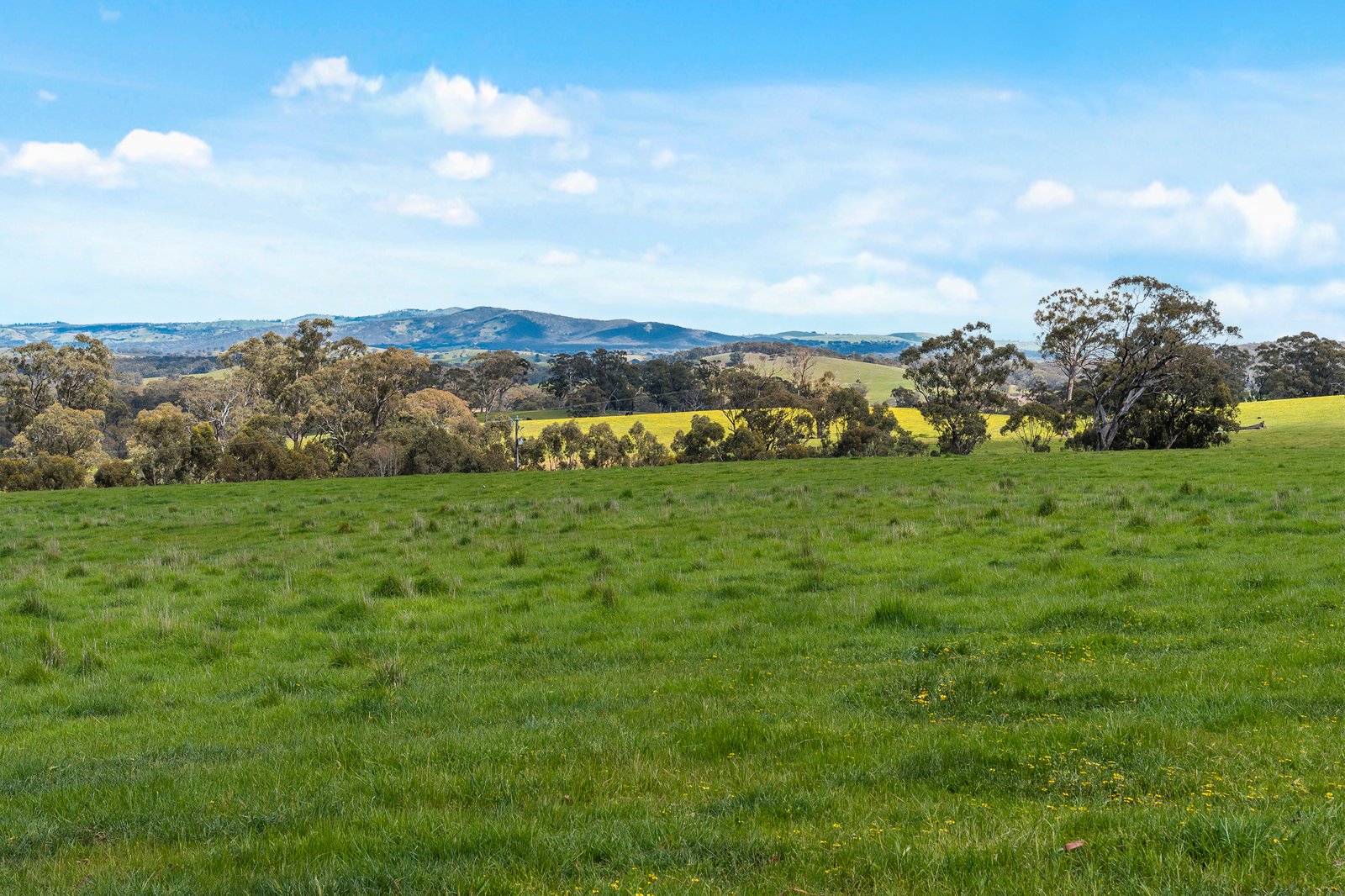Real Estate and Property in 60 Cameroos Lane, Broadford, VIC