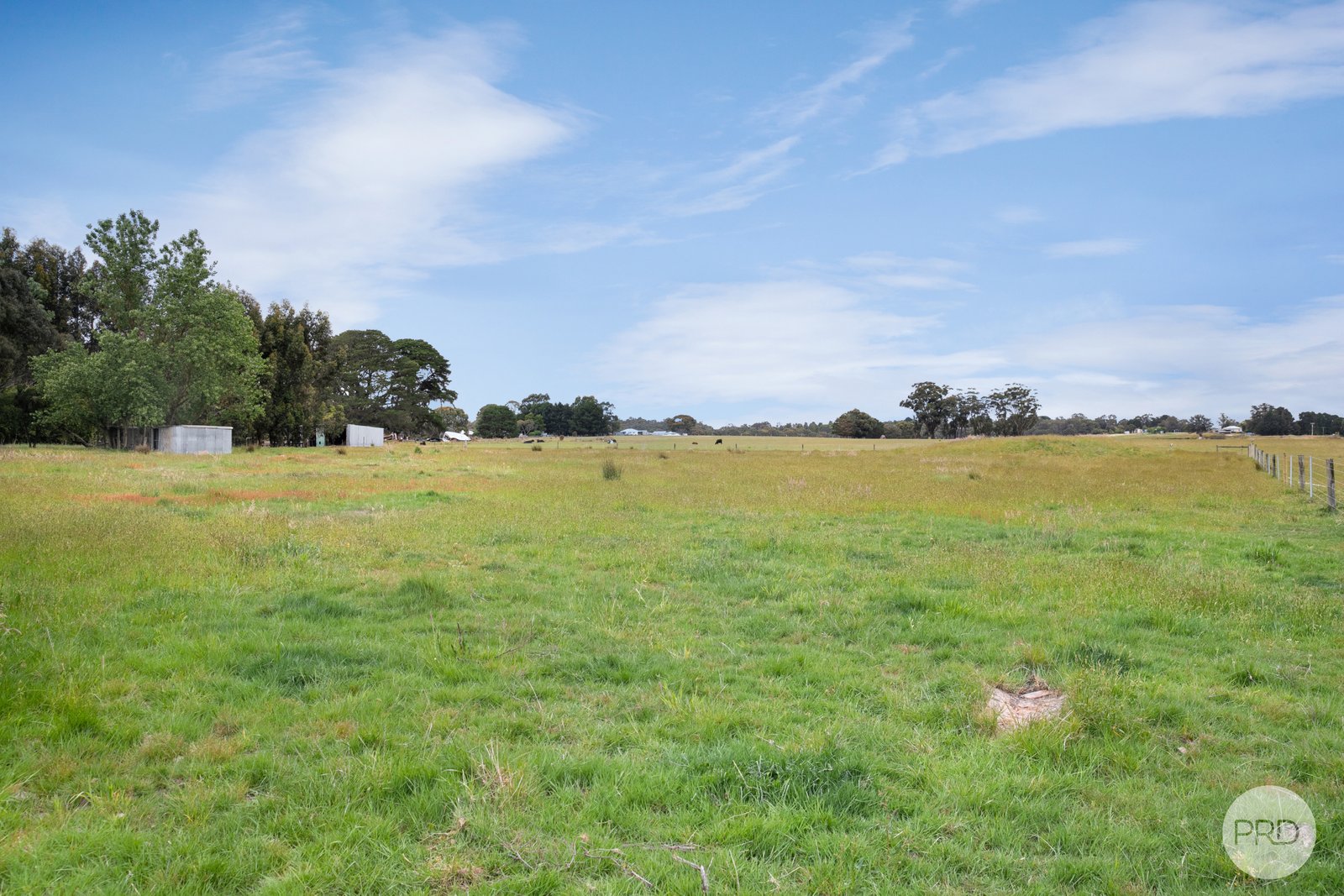 60 Carey's Road SCARSDALE 10