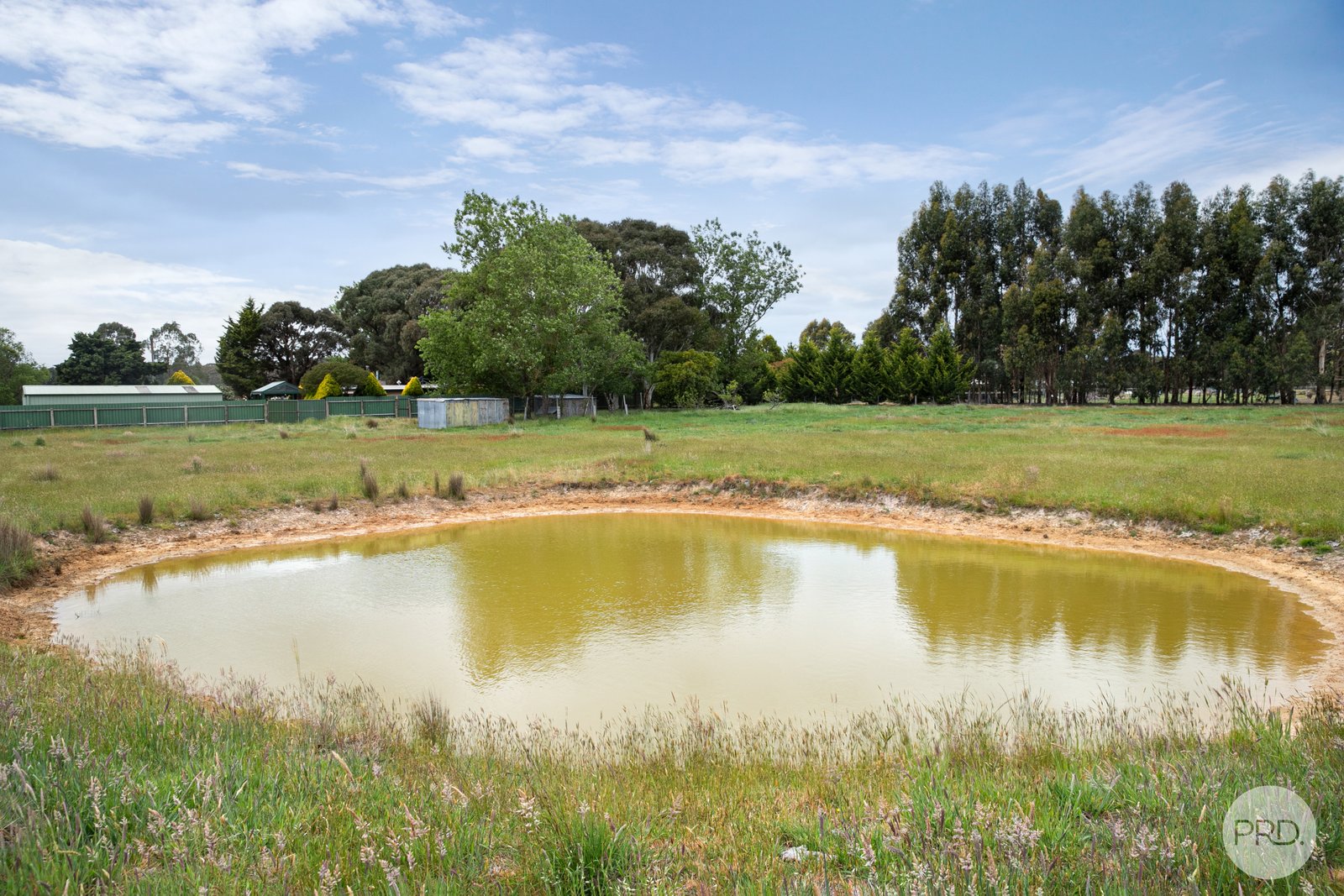 60 Carey's Road SCARSDALE 11