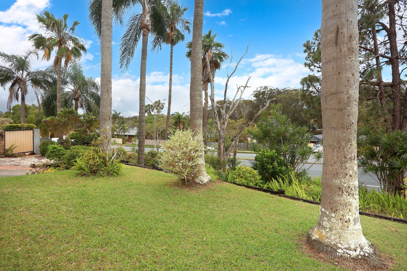 60 Currumburra Road ASHMORE 8