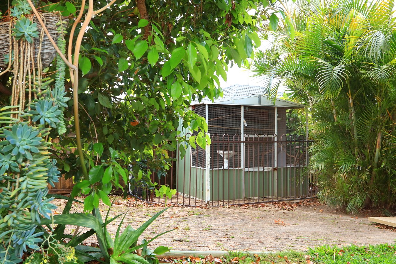 60 Currumburra Road ASHMORE 20