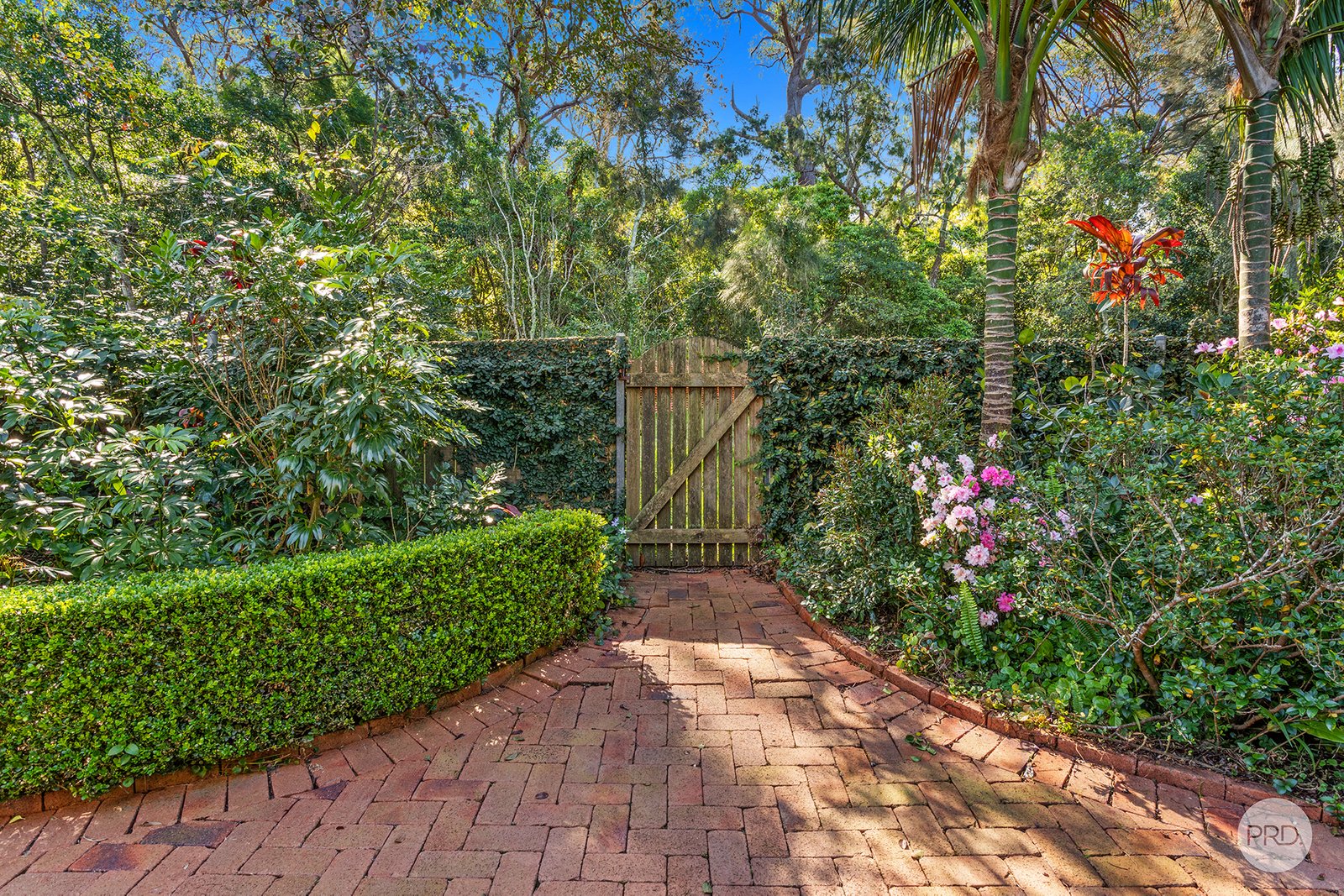 60 Danalene Parade CORLETTE 32