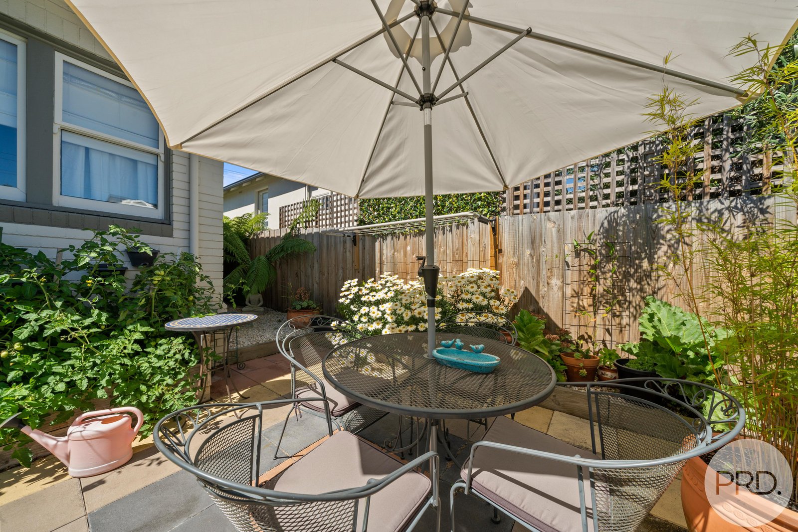 60 Forster Street NEW TOWN 5