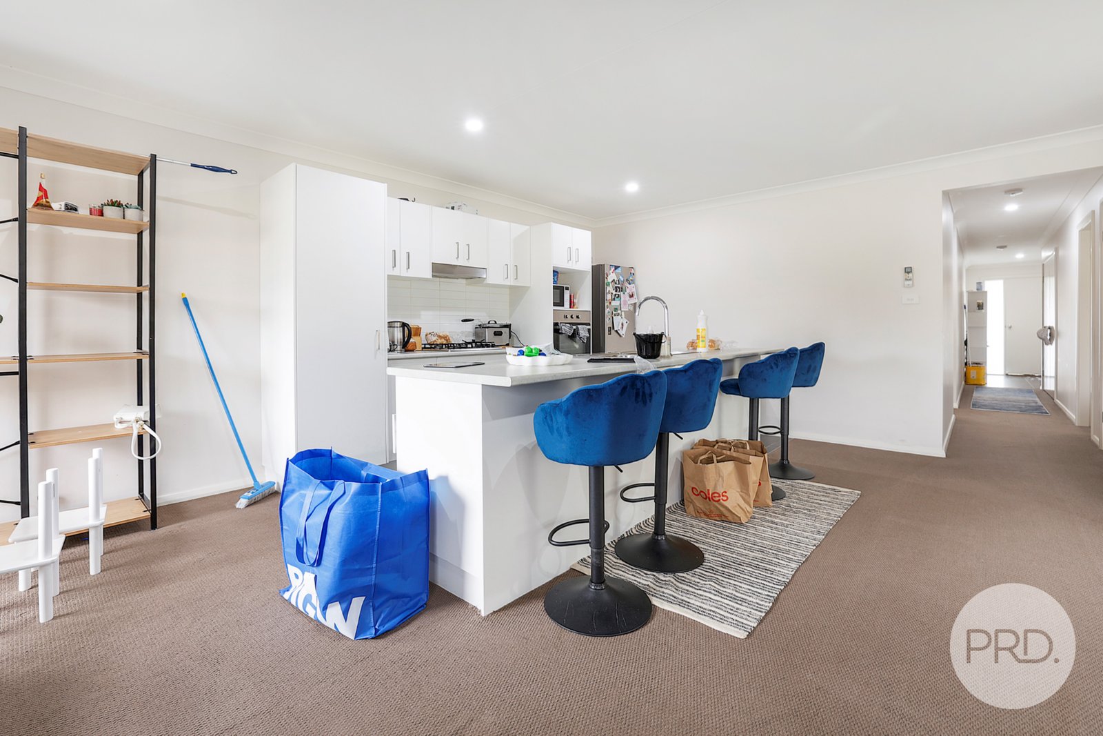 60 Kenny Drive TAMWORTH 10
