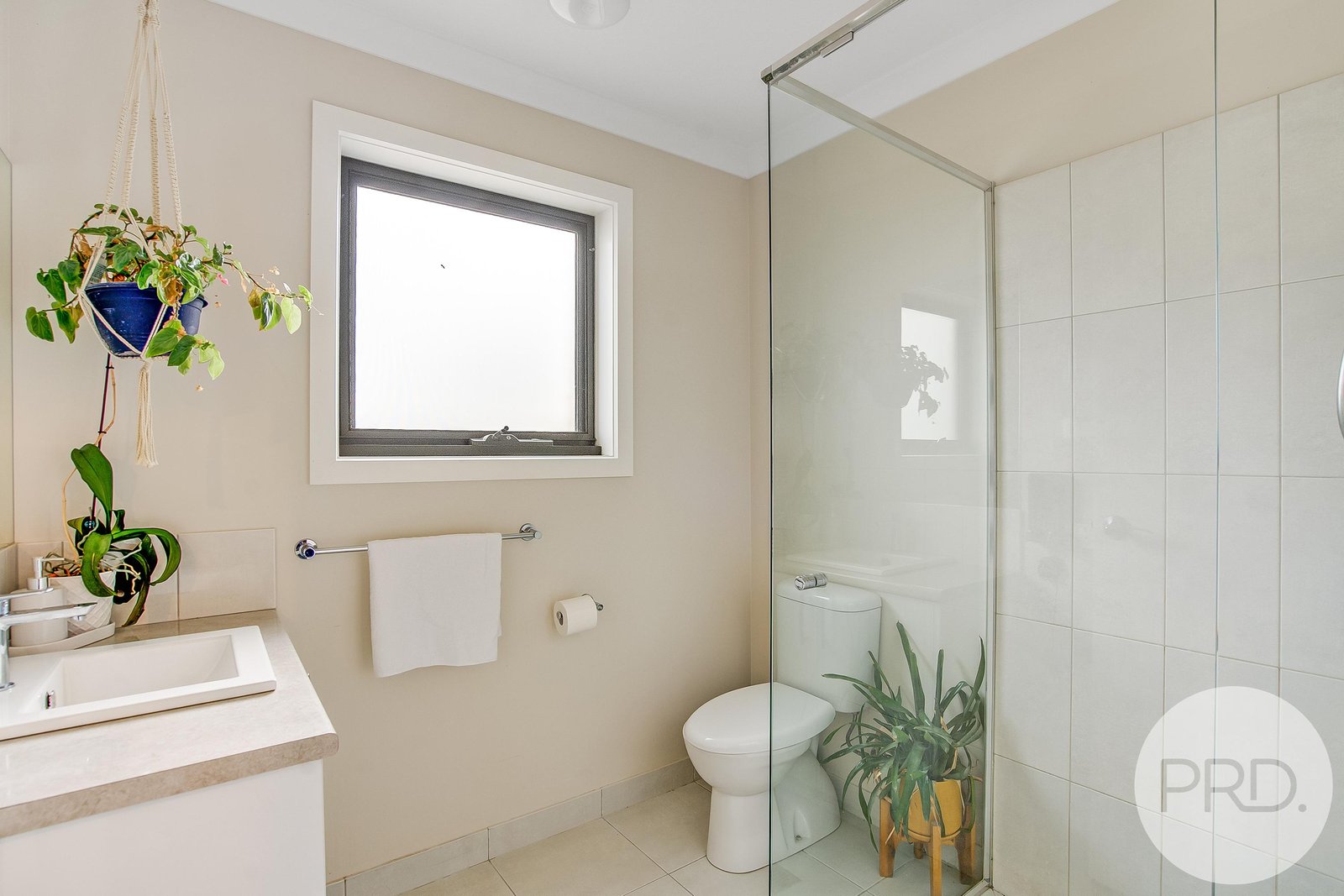 60 Louisa Street KEMPTON 12