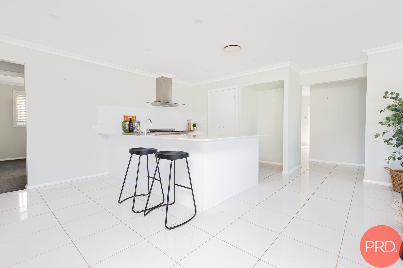 60 Macrae Street EAST MAITLAND 13