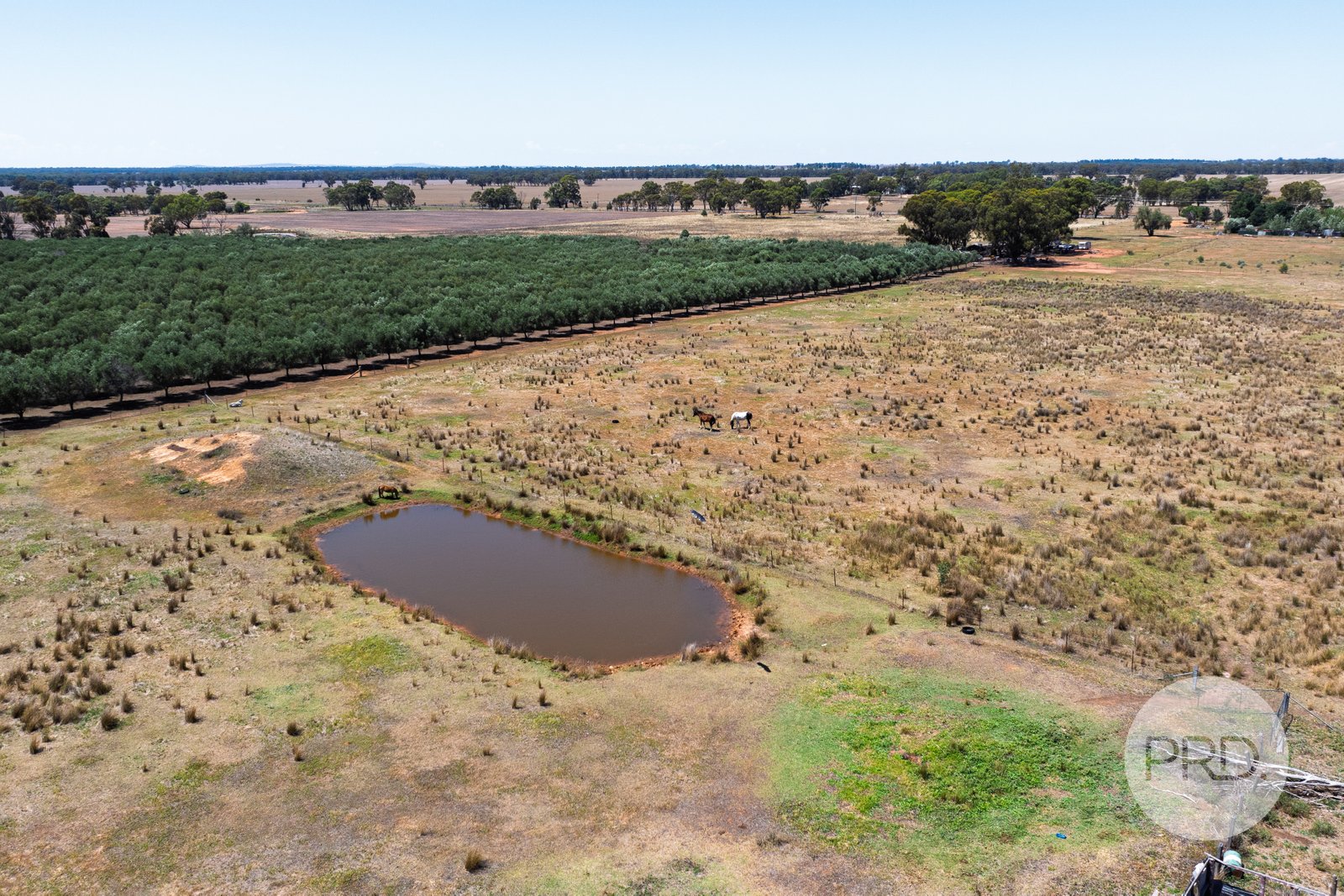 60 Milbrulong Tip Road MILBRULONG 18