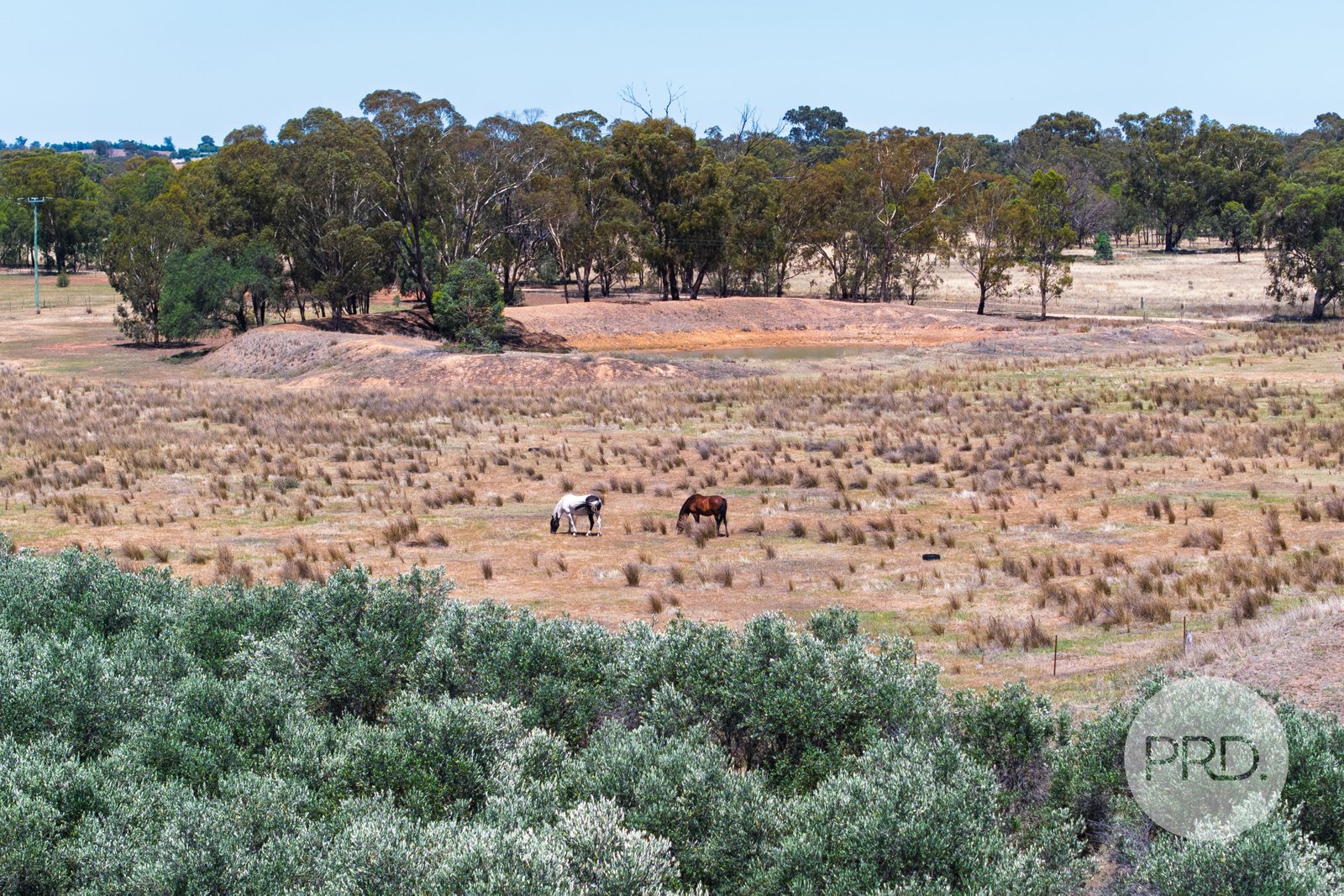 60 Milbrulong Tip Road MILBRULONG 19