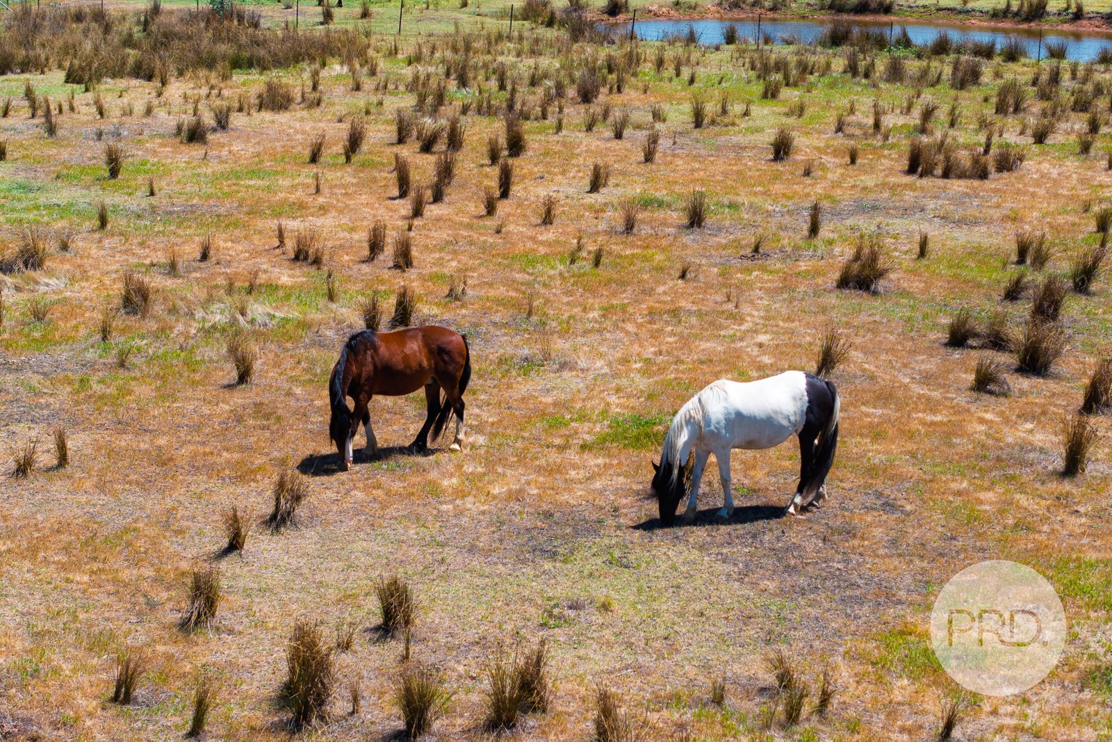 60 Milbrulong Tip Road MILBRULONG 21