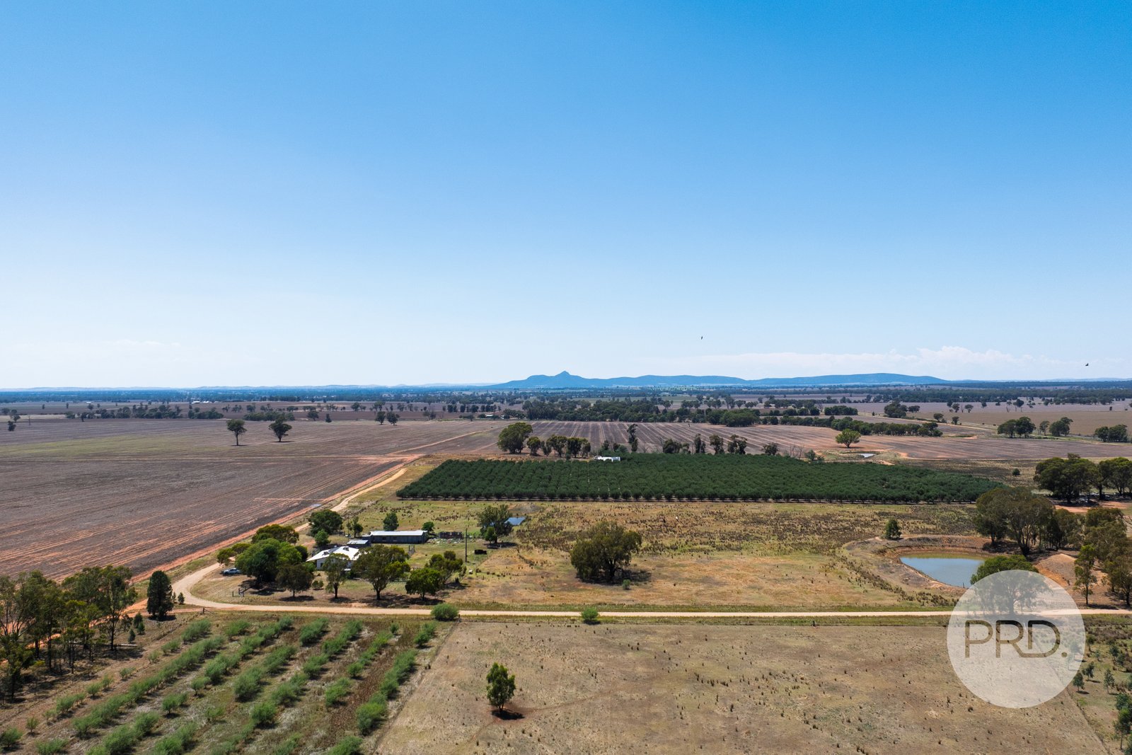 60 Milbrulong Tip Road MILBRULONG 24