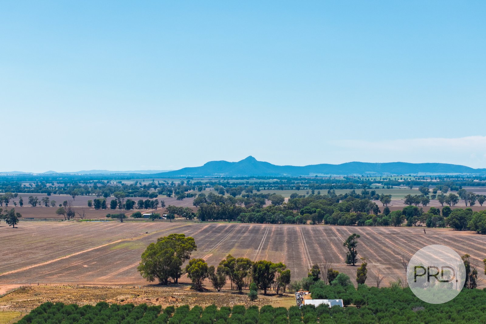 60 Milbrulong Tip Road MILBRULONG 26