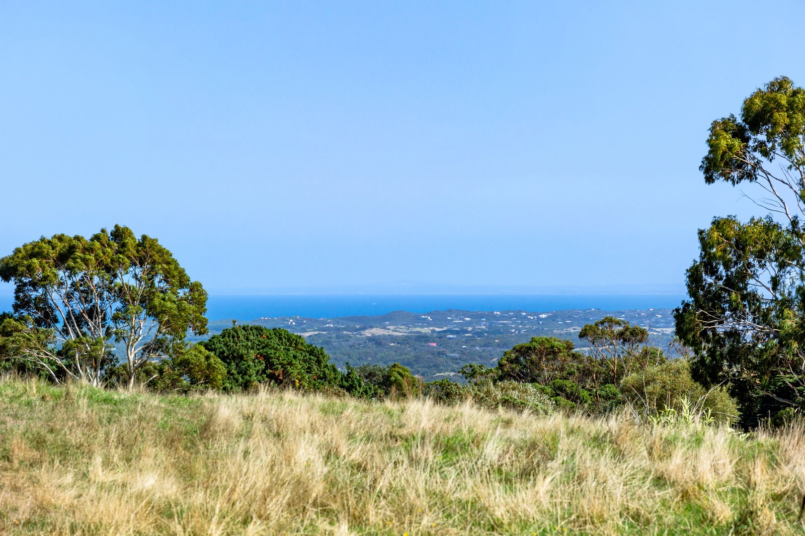 Gallery: 60 Patterson Road