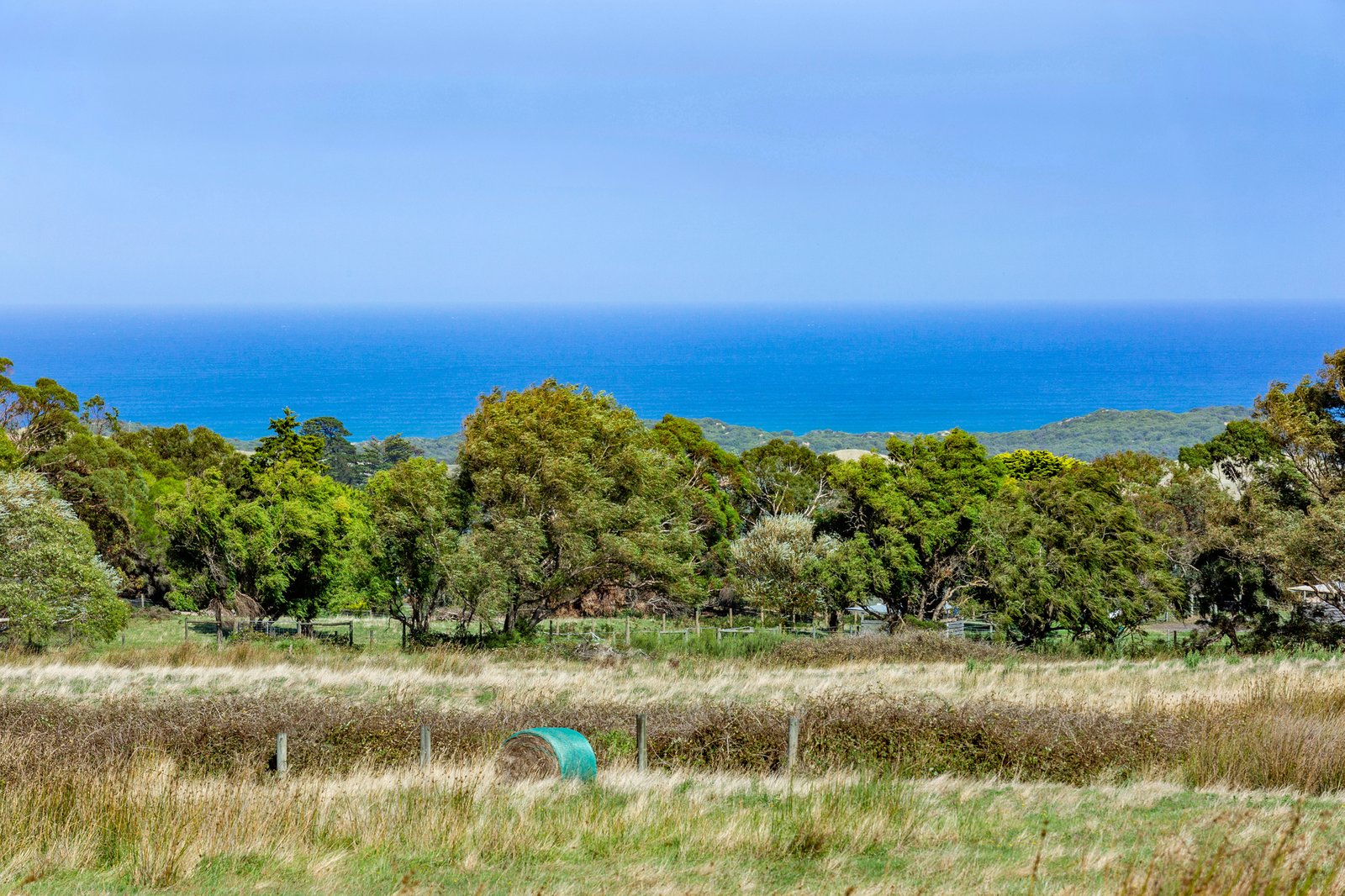 Gallery: 60 Patterson Road