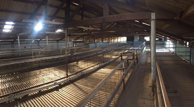 60 Ramsay Road TUMBARUMBA 2