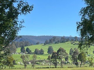 60 Sorell Street CHUDLEIGH 11