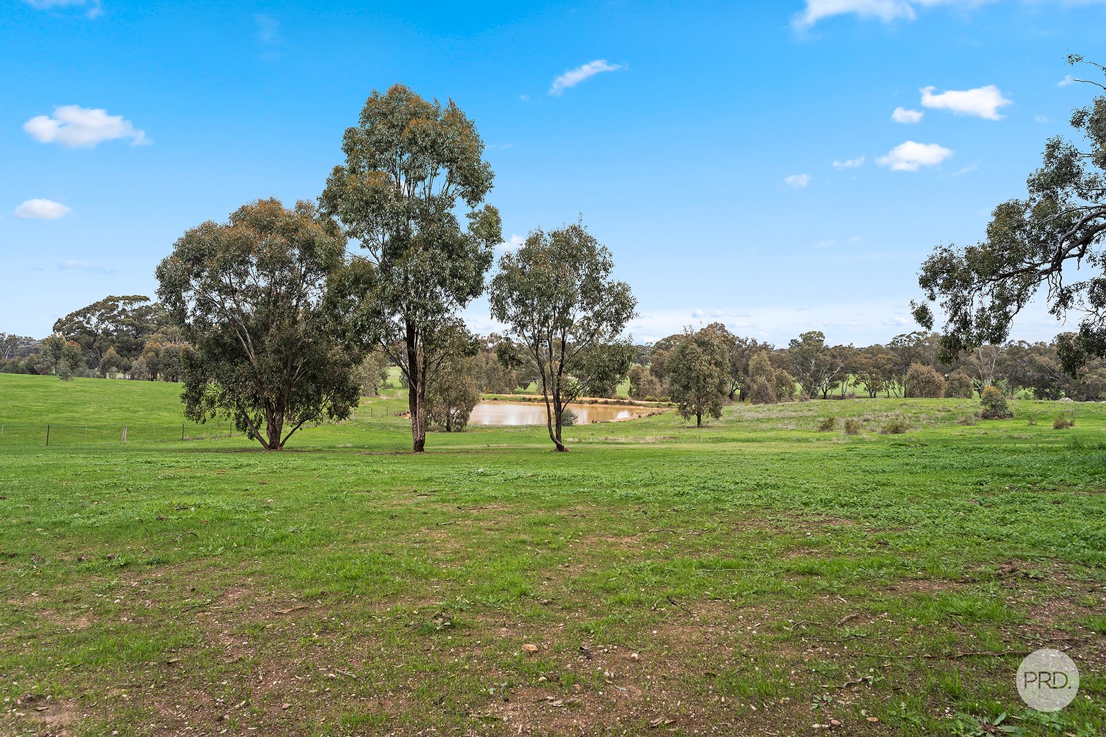 60 Swanwater Drive LONGLEA 4