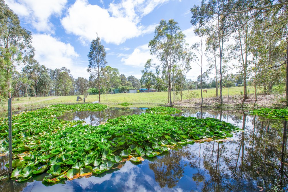 600 Dungog Road MARTINS CREEK 1