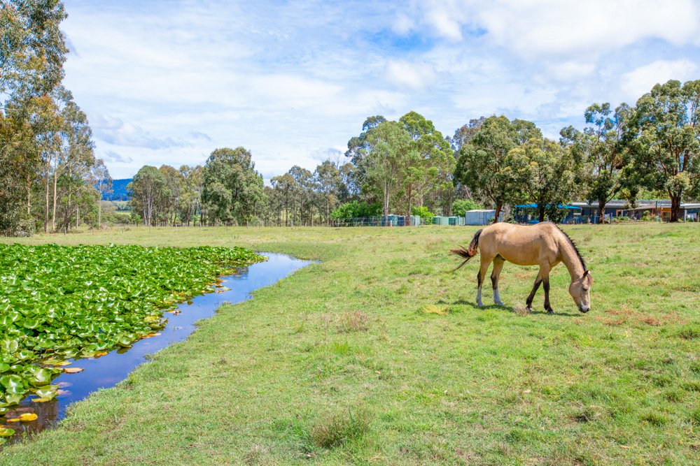 600 Dungog Road MARTINS CREEK 6