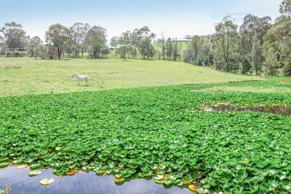 600 Dungog Road MARTINS CREEK 33