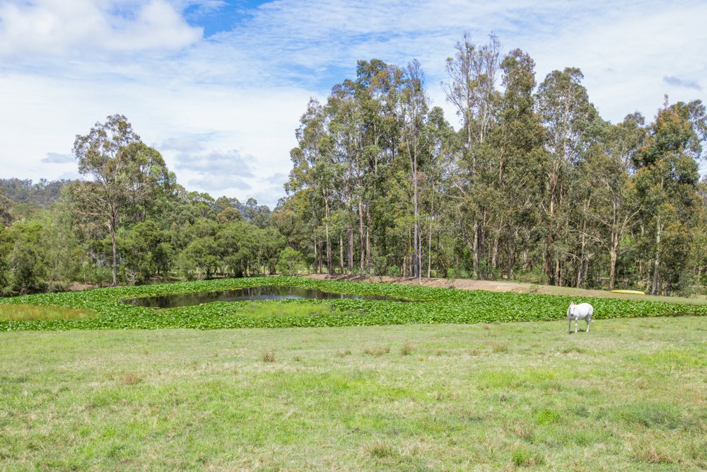 600 Dungog Road MARTINS CREEK 34