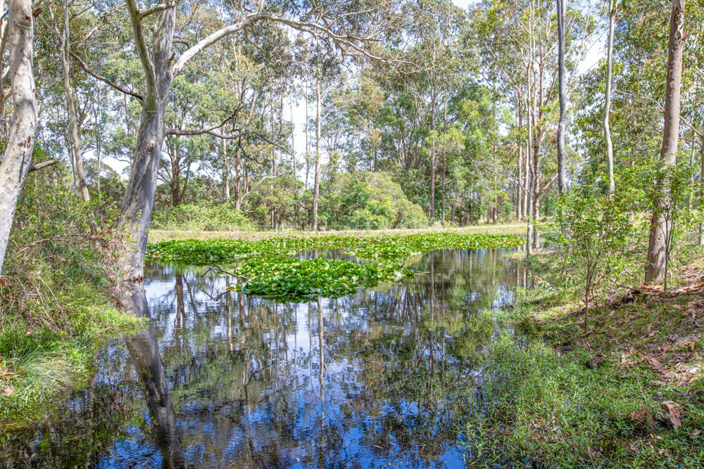 600 Dungog Road MARTINS CREEK 35
