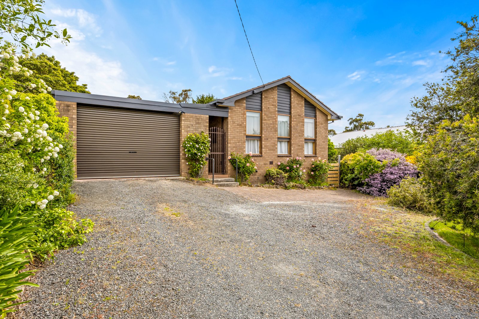 Gallery: 601 Learmonth Street