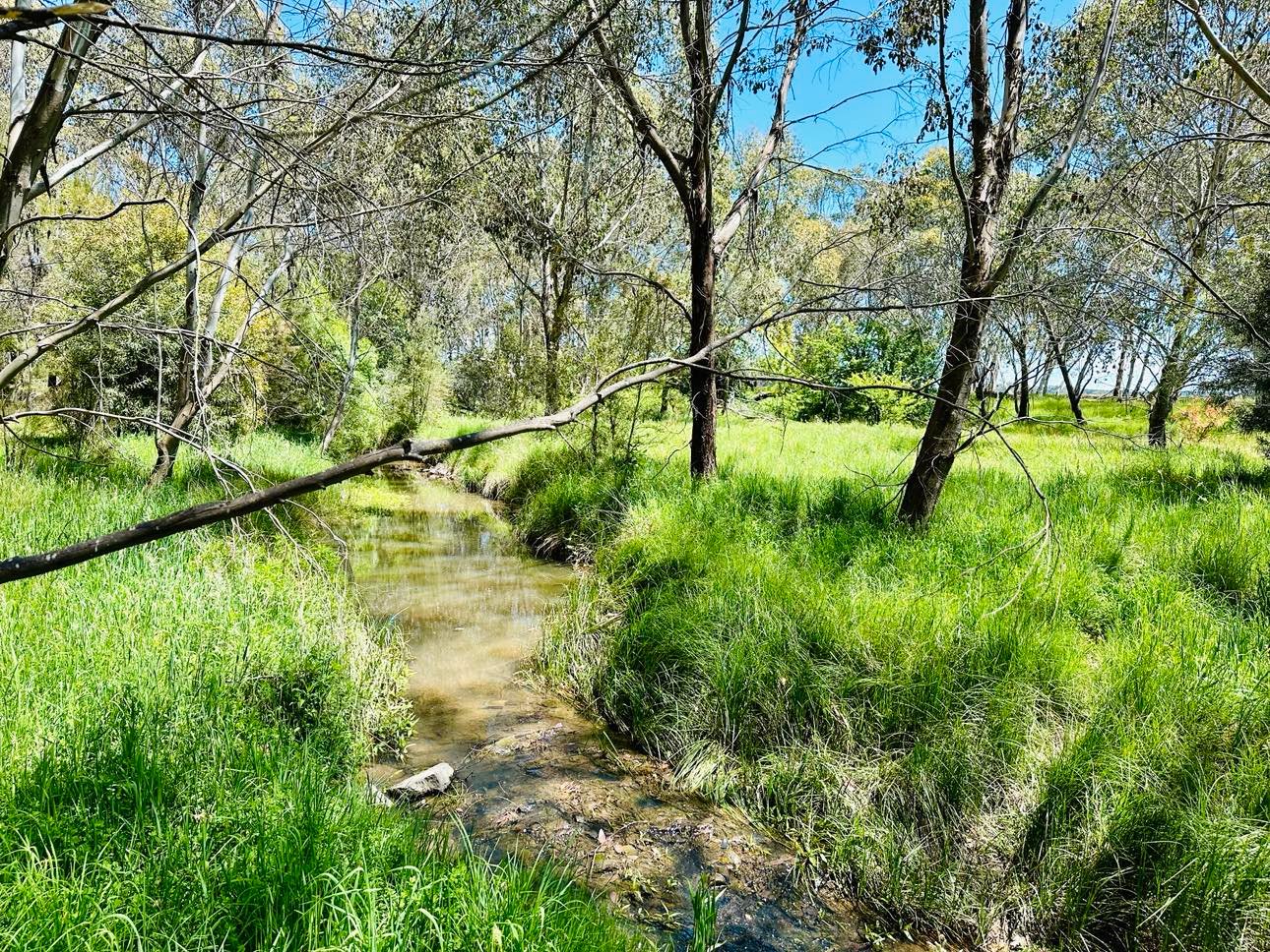 601 McEachern Lane TUMBARUMBA 6