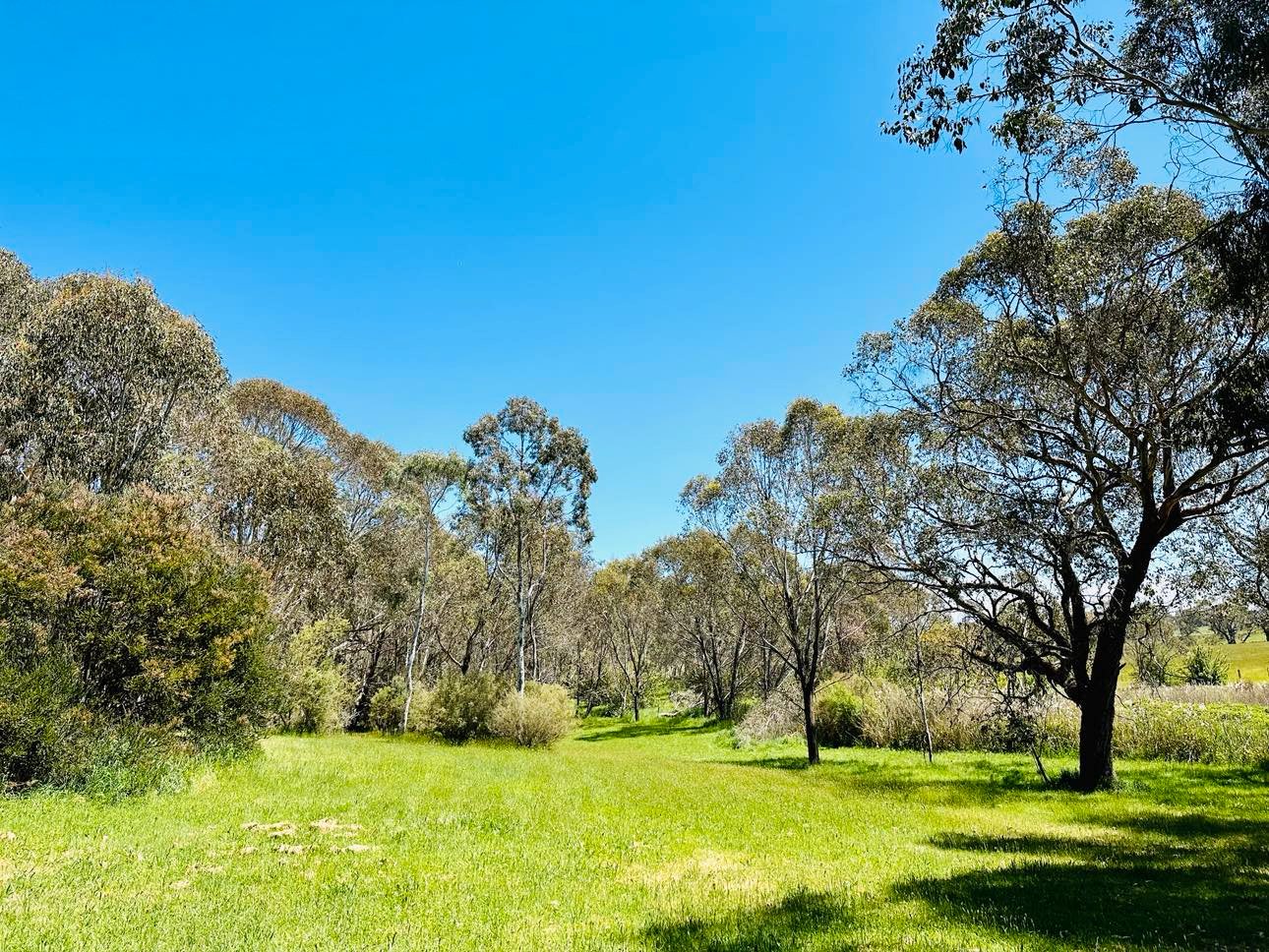 601 McEachern Lane TUMBARUMBA 8