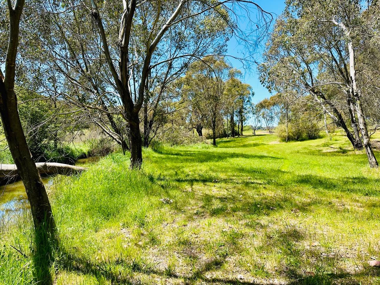 601 McEachern Lane TUMBARUMBA 9