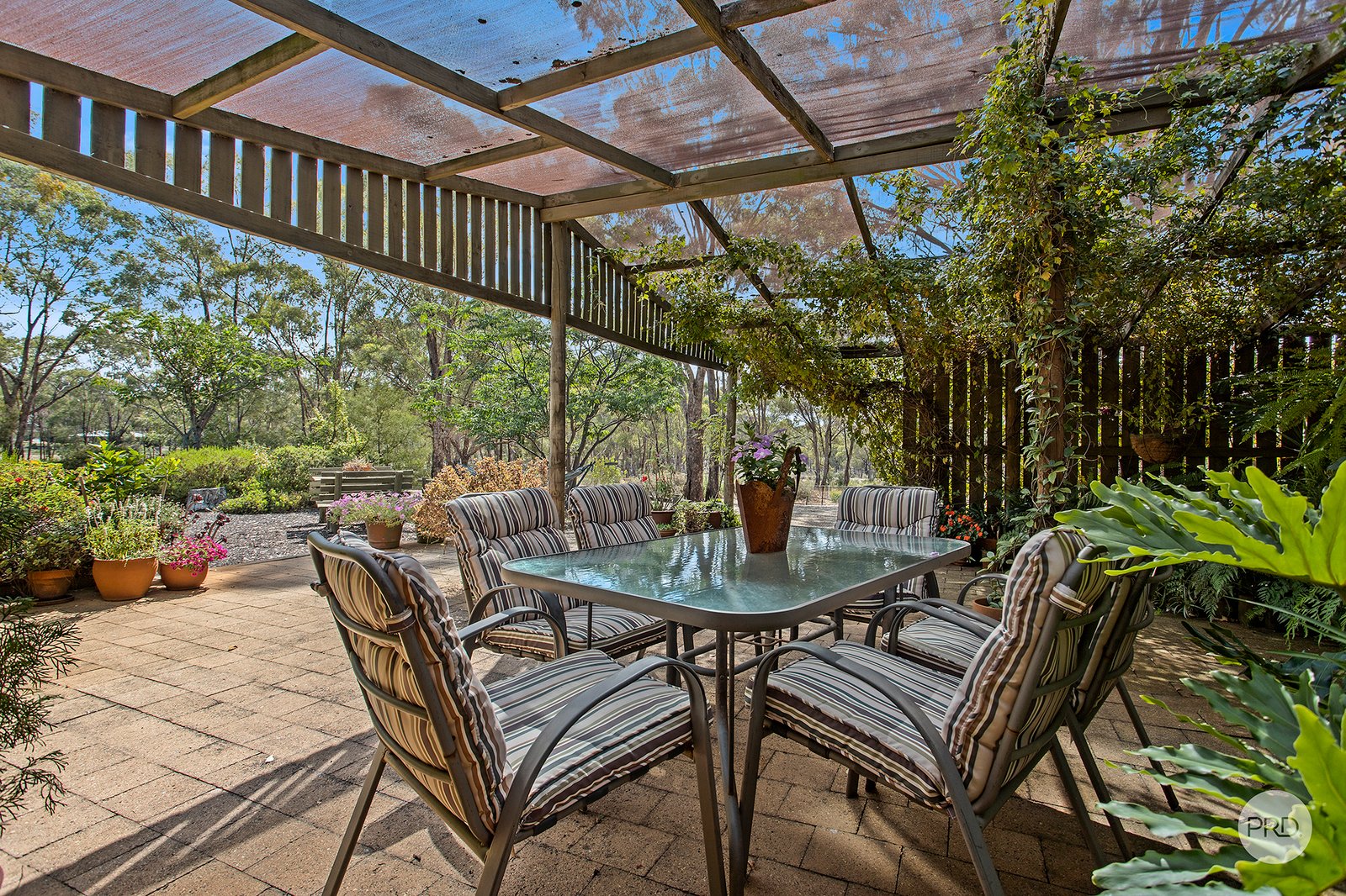 602 Crusoe Road LOCKWOOD 15