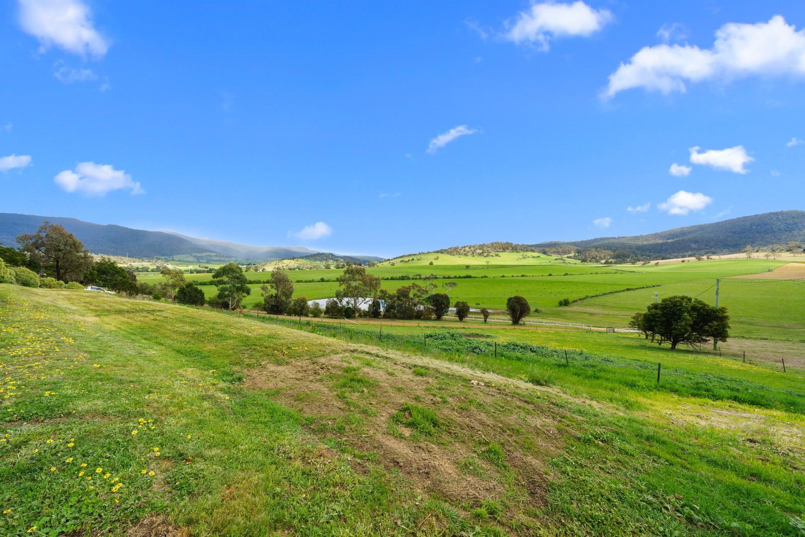 603 Black Brush Road BROADMARSH 32