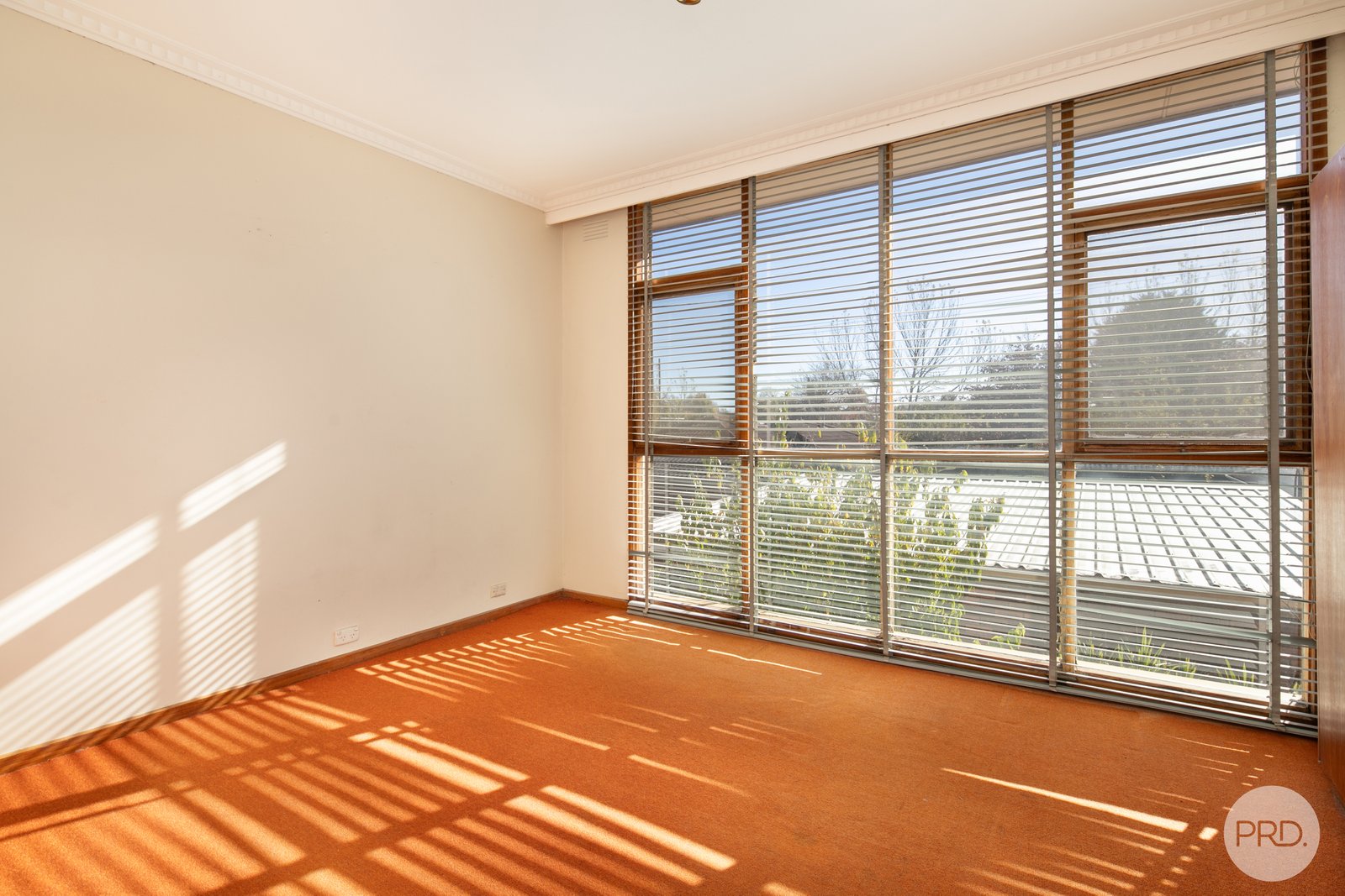 604 Ascot Street South REDAN 7