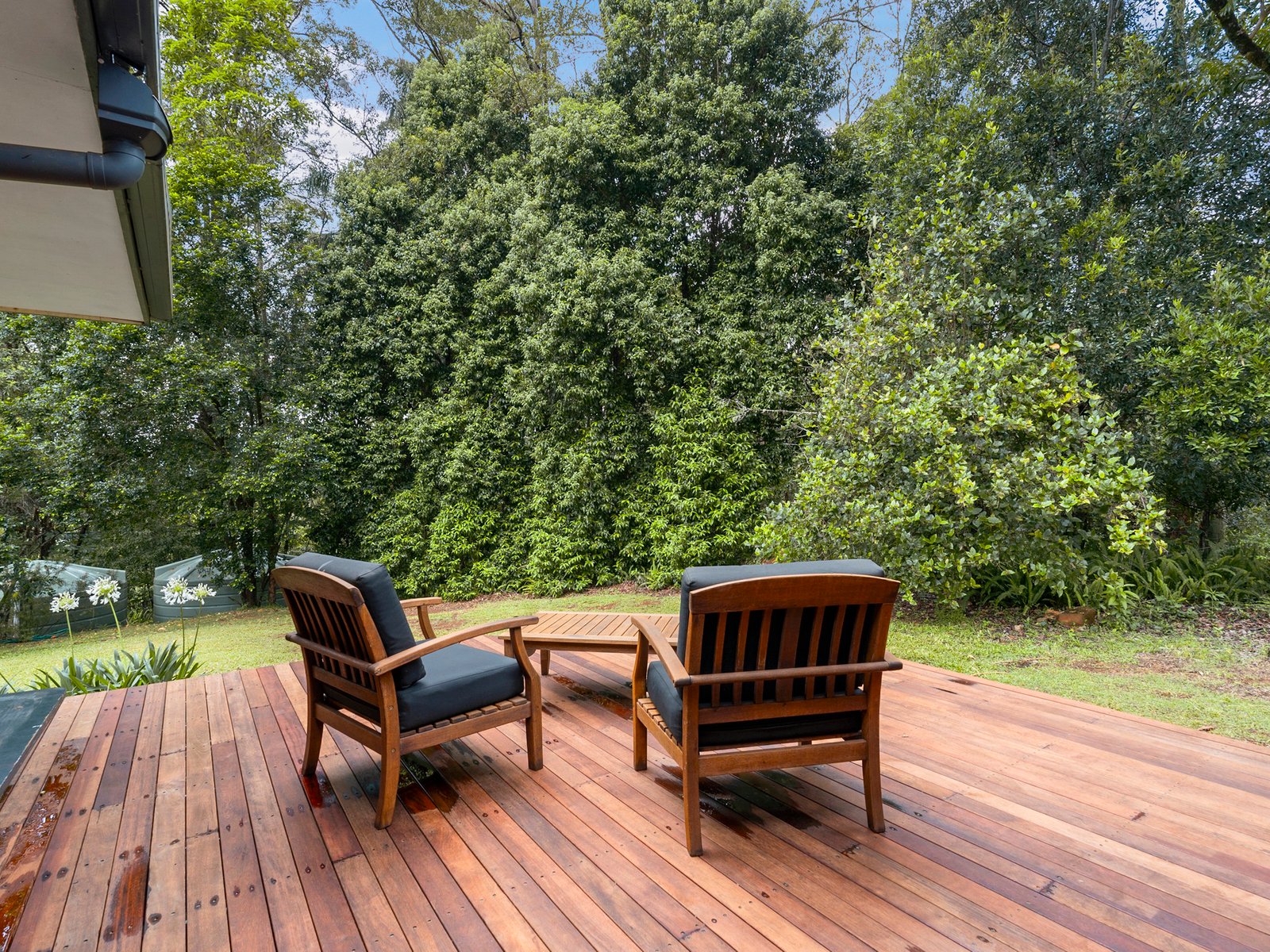605 Hopkins Creek Road HOPKINS CREEK 24