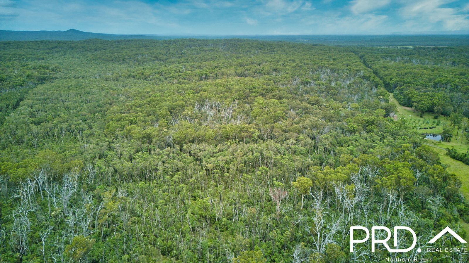 605 Myall Creek Road BORA RIDGE 3