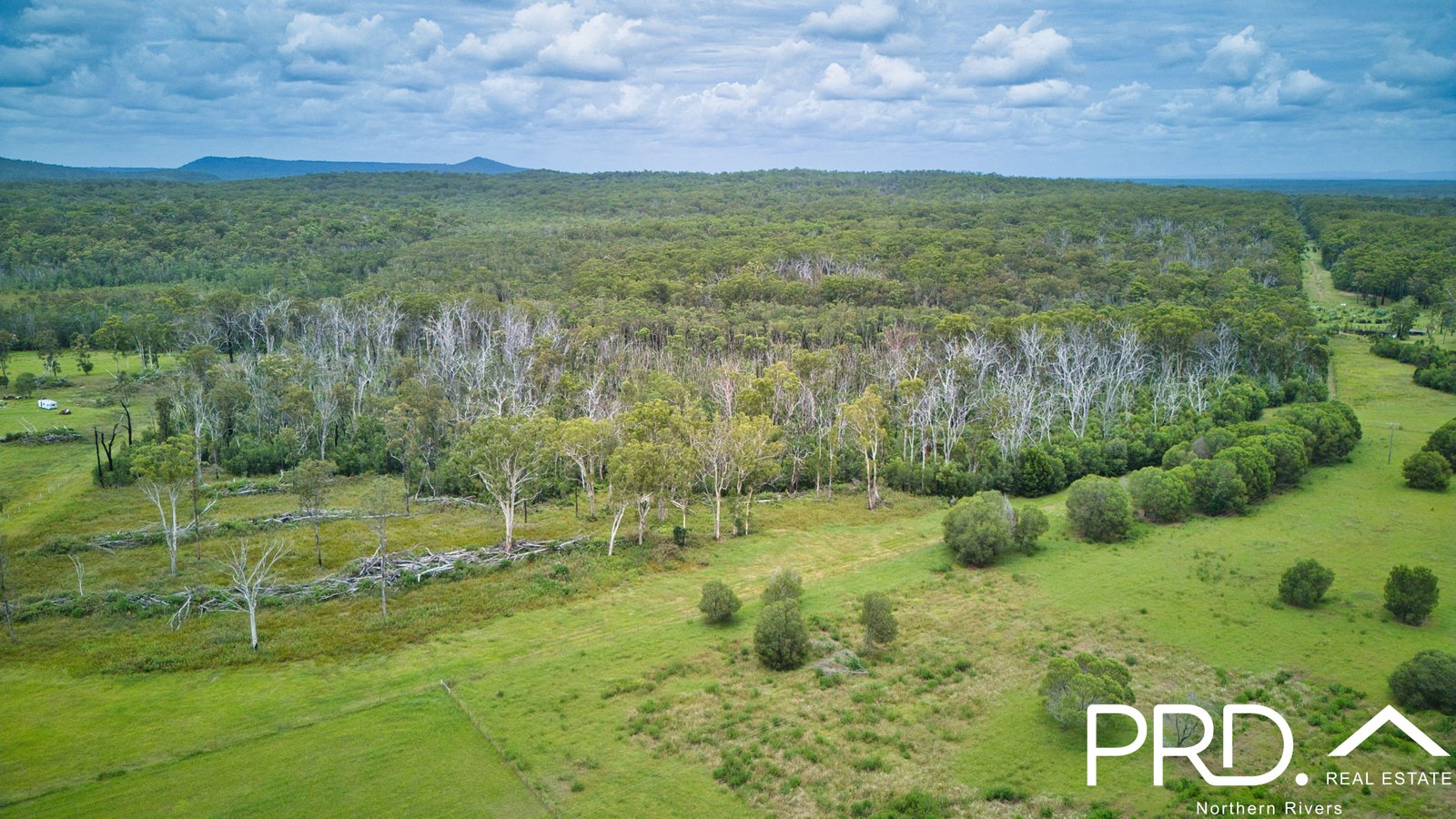 605 Myall Creek Road BORA RIDGE 7