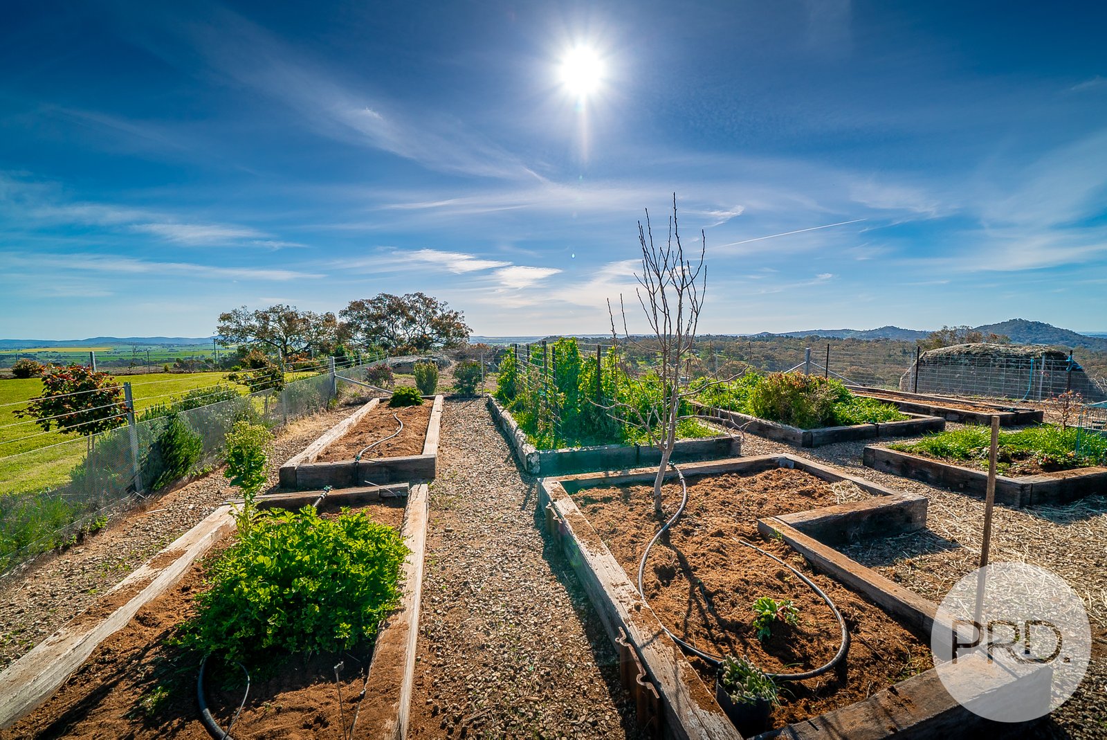 6056 Holbrook Road MAXWELL 22