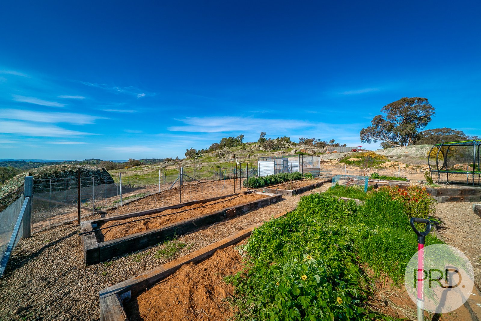 6056 Holbrook Road MAXWELL 24