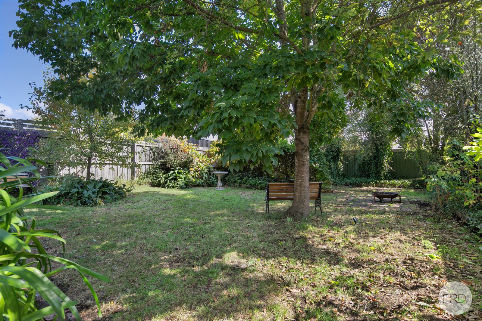 607 Doveton Street North SOLDIERS HILL 12