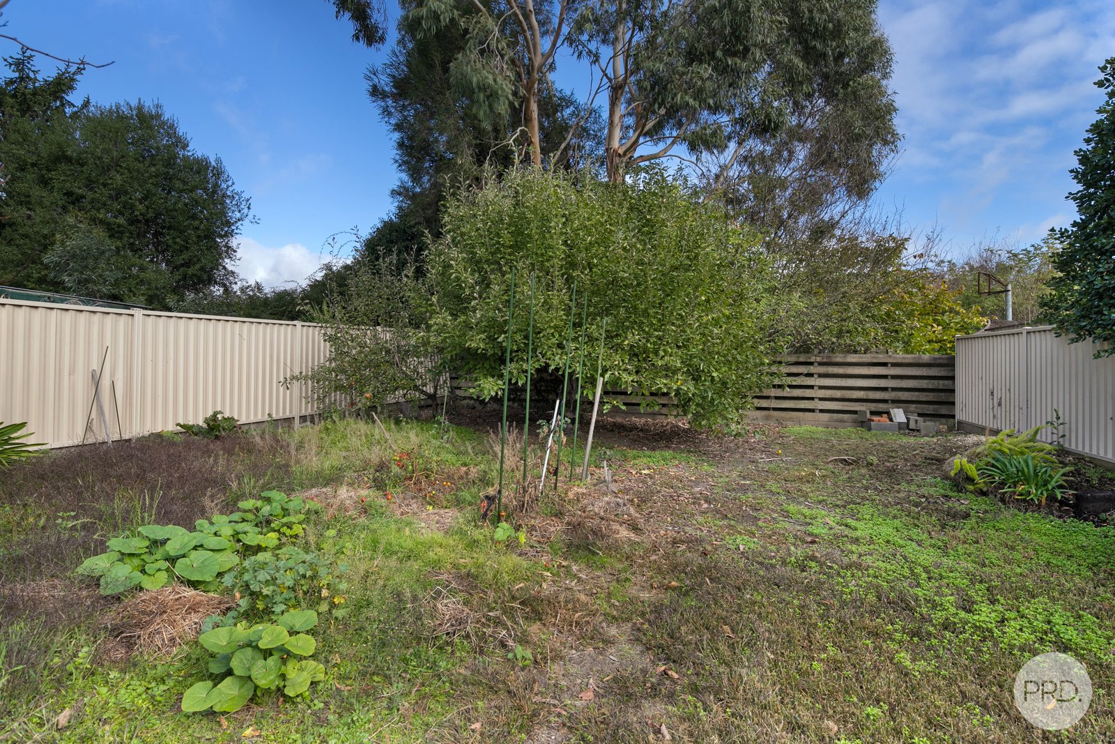 608 Ascot Street South REDAN 16