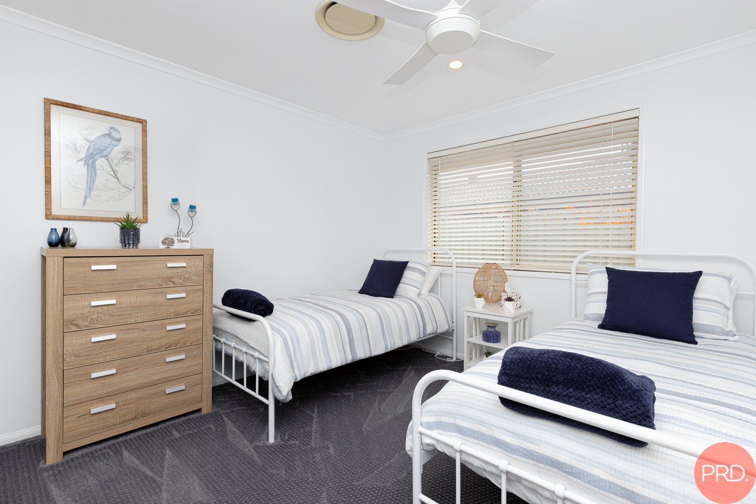 61 Ballydoyle Drive ASHTONFIELD 19