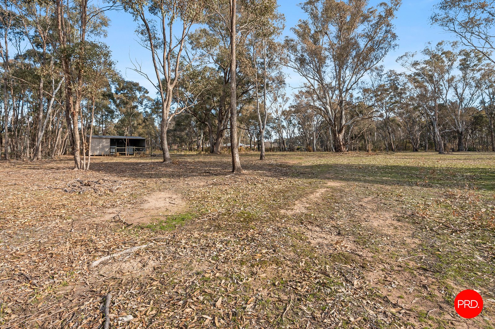 61 Bennetts Road LONGLEA 23