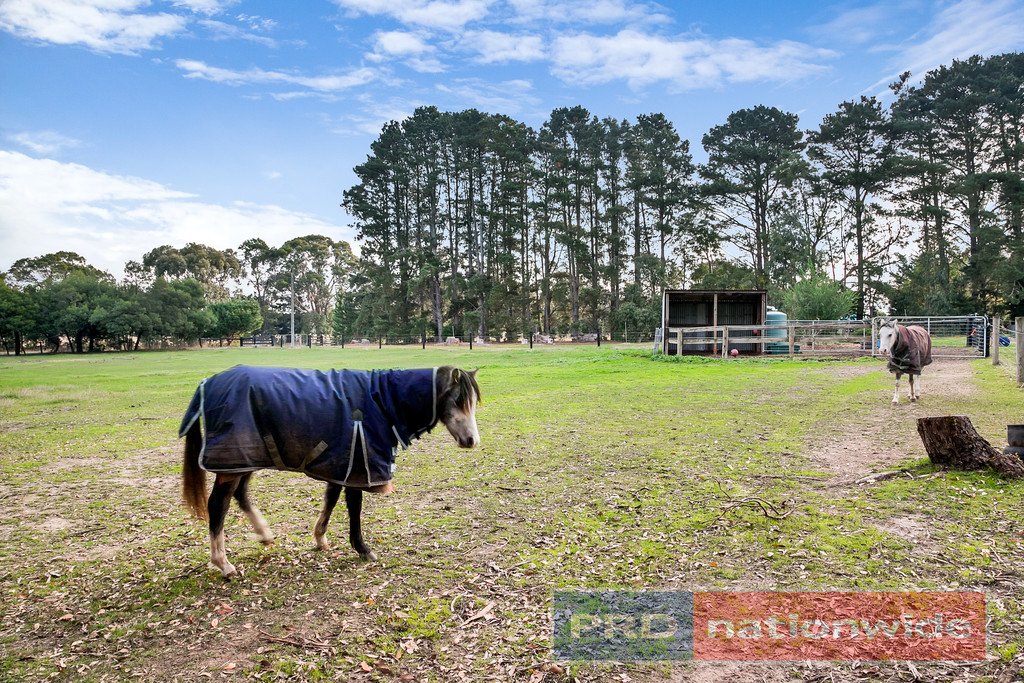 61 Egerton-Bungeeltap Road MOUNT EGERTON 17